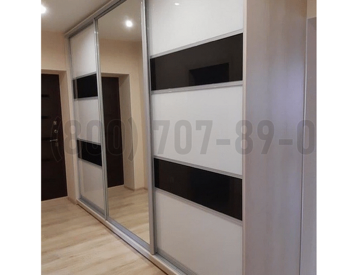 Шкаф в стиле фьюжн в Пензе